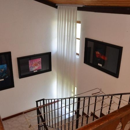 Vila Delfin Ohrid Exterior photo